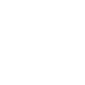 Puzzle Icon